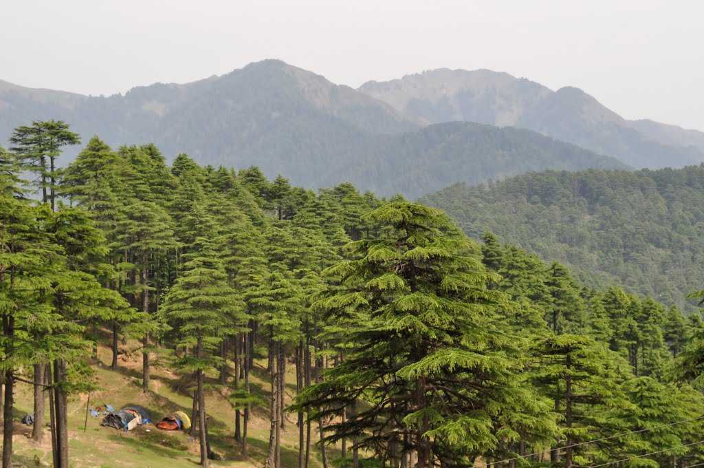 'J&K Govt forms Committee for Alternate Tourist Destinations but Master Plans of main Tourist Destination?'